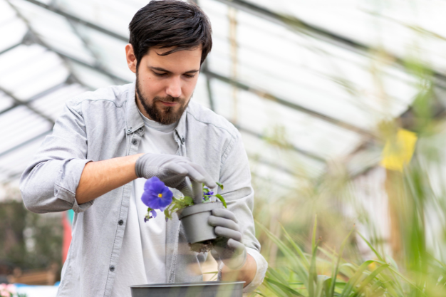 Field Fusion Laboratory