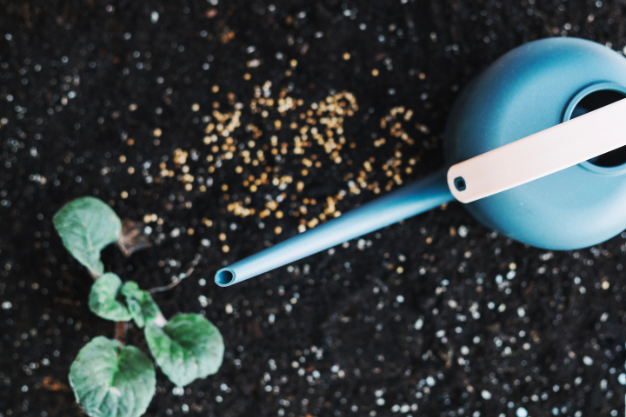 Field Fusion Laboratory