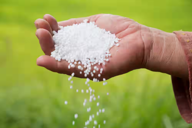 Field Fusion Laboratory