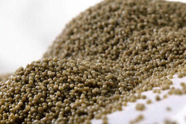 Field Fusion Laboratory