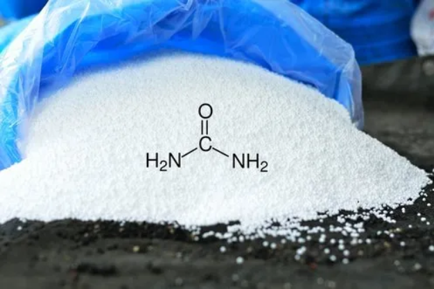 Field Fusion Laboratory