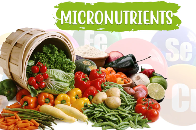 Field Fusion Laboratory