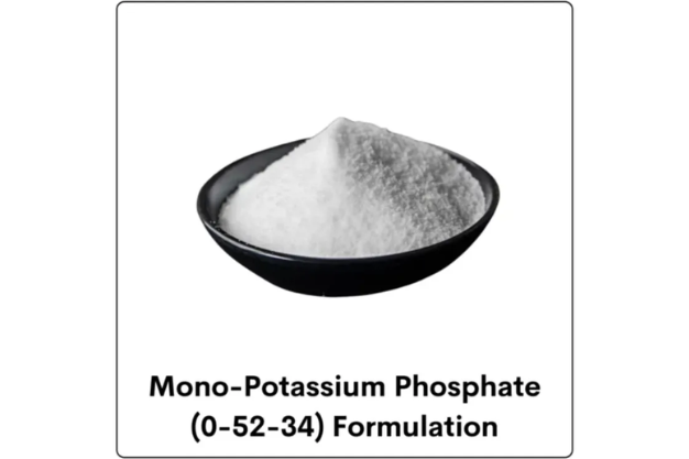 Field Fusion Laboratory