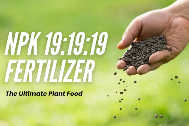 Field Fusion Laboratory