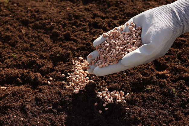 Potassium Derived From Molasses