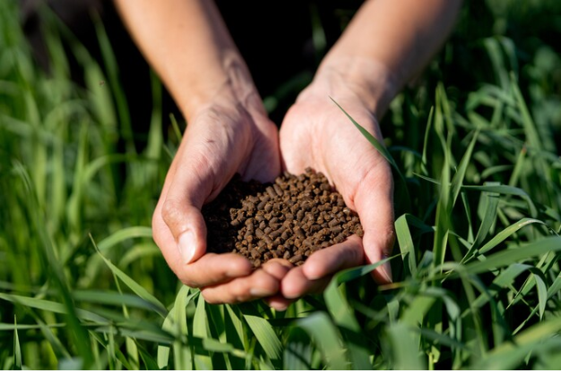 Field Fusion Laboratory