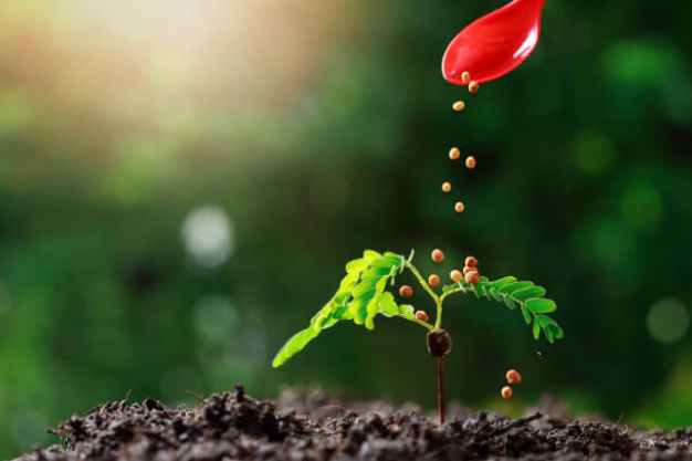 Field Fusion Laboratory